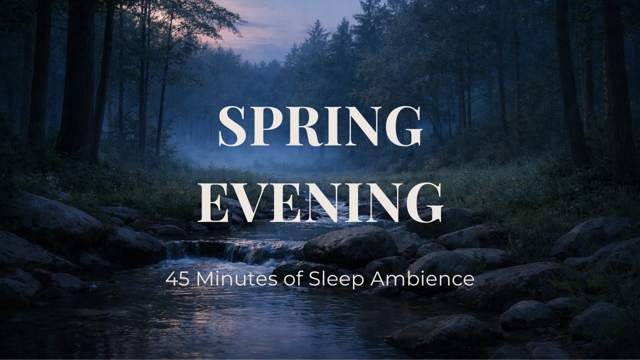 Peaceful Spring Evening in the Forest – 45 Minutes of Forest Sleep Ambience