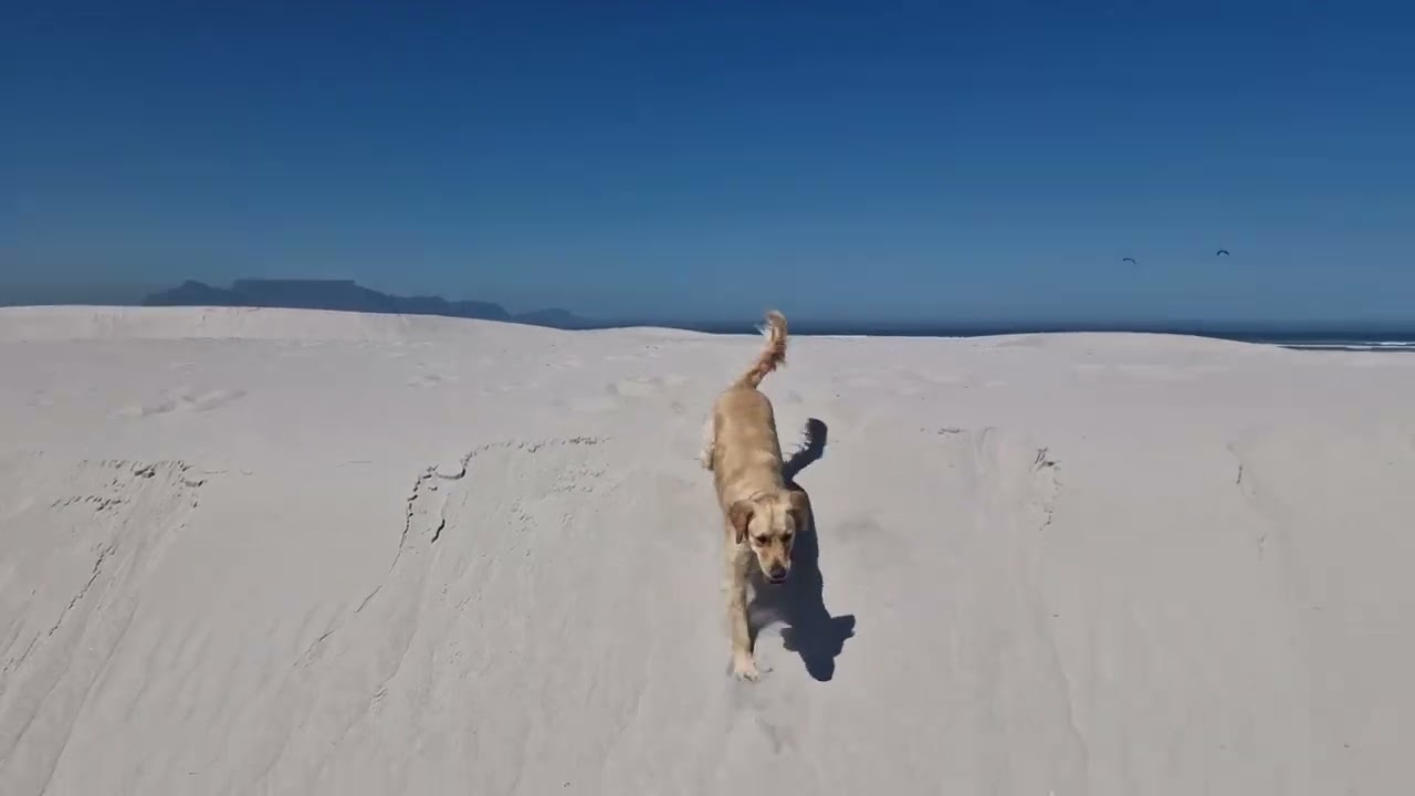 Paternoster #capedogwalks#Westcoast 