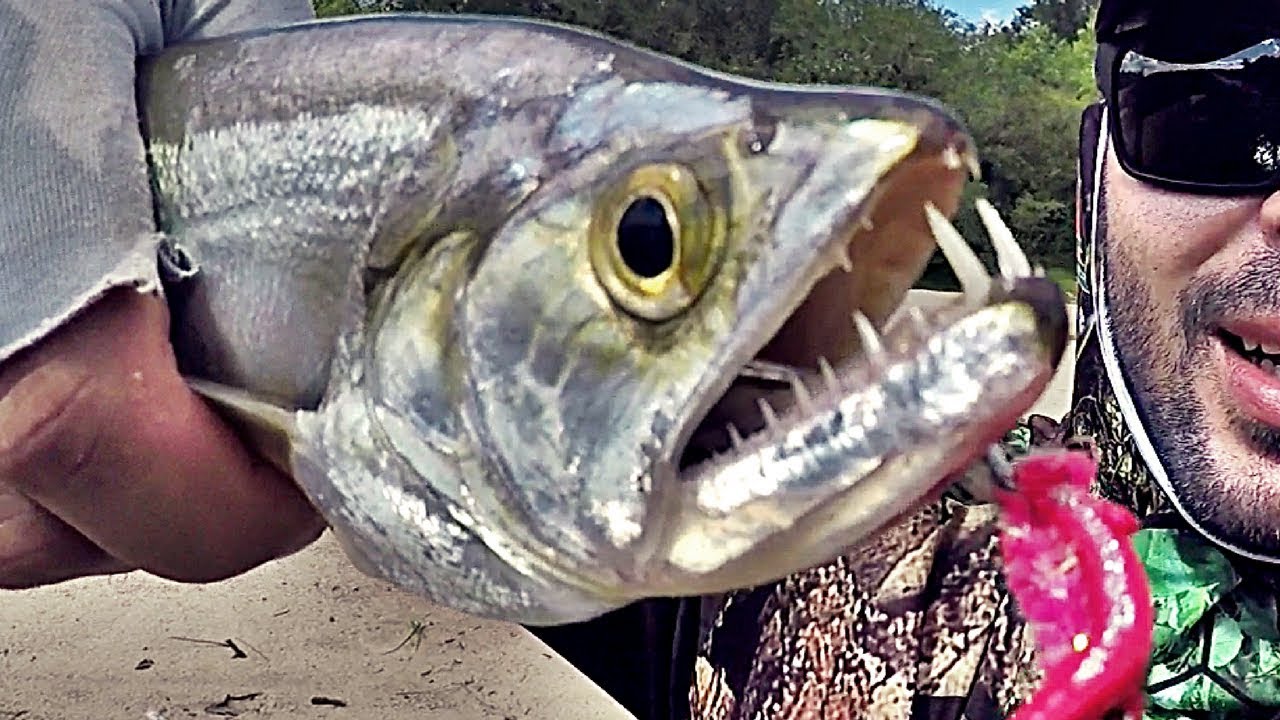 Pesca FLY FISHING traíra, saicanga, cachorra. pescaria de fly no caiaque no rio.