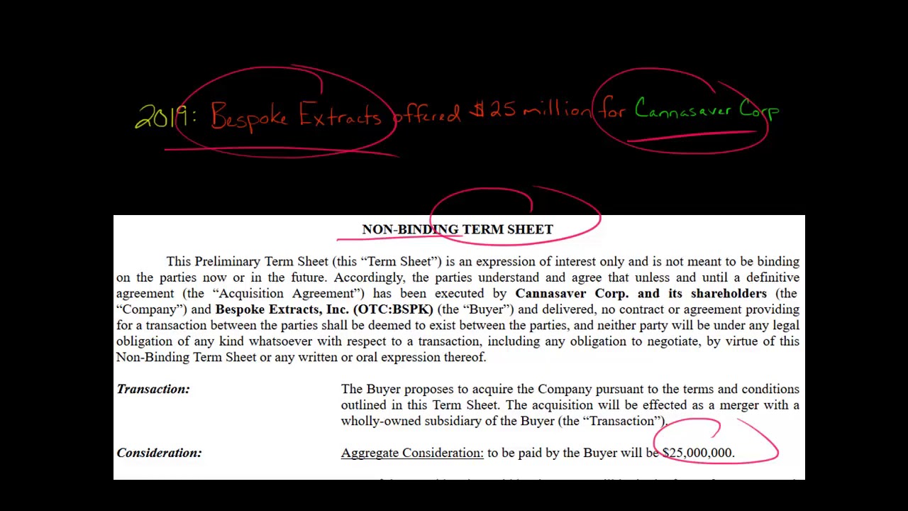M&A Term Sheet Example