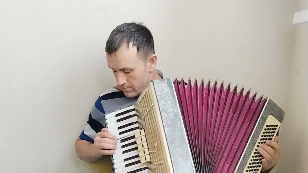 Амри Кунушов акордион