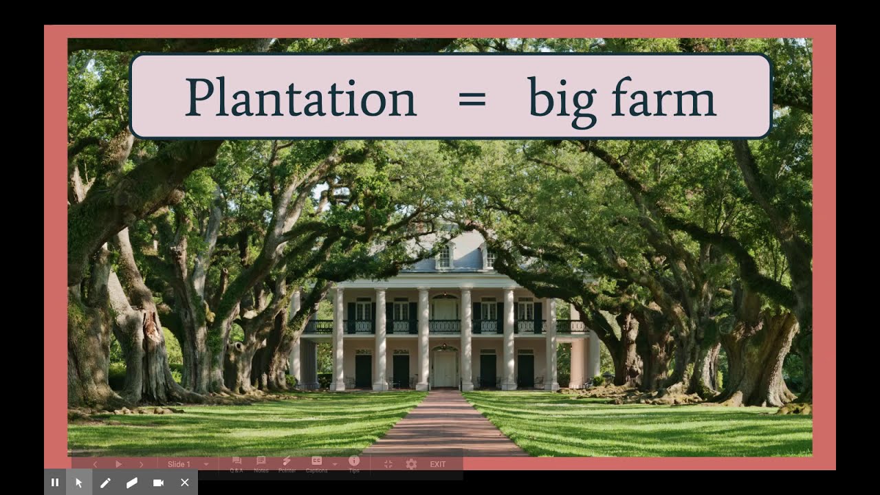 South Tour: Plantations