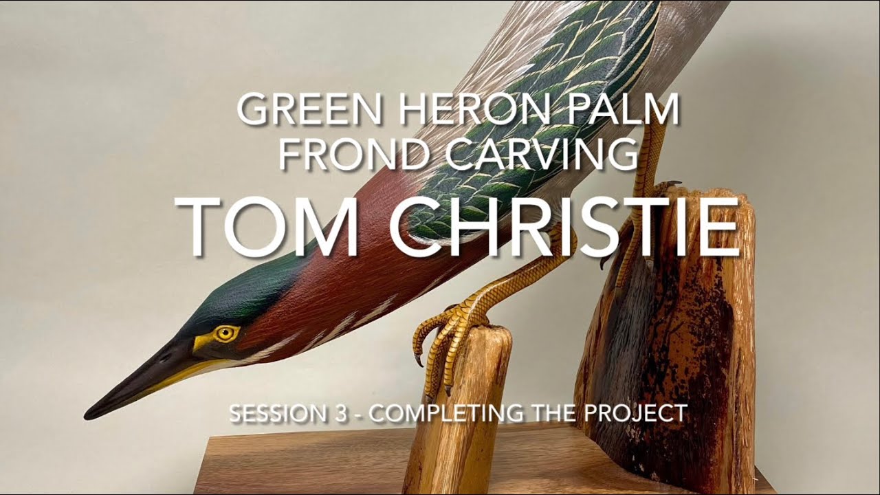 Green Heron Session 3 - Completing the Project