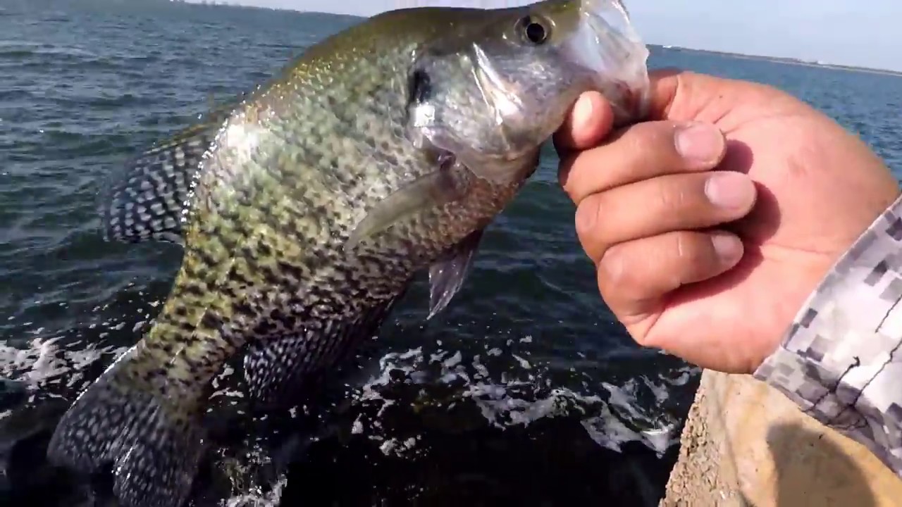 Lake Hefner, Oklahoma bank fishing for anything we can catch