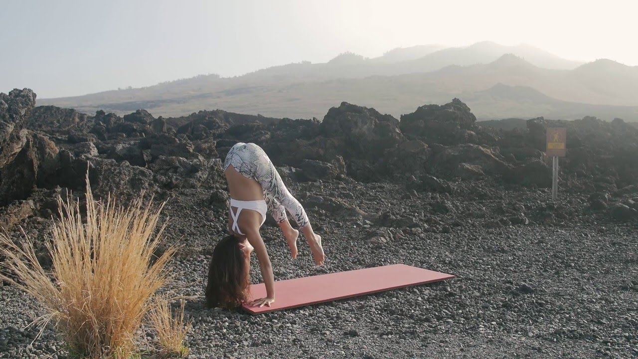 MeshYoga By Michelle Lou Lan