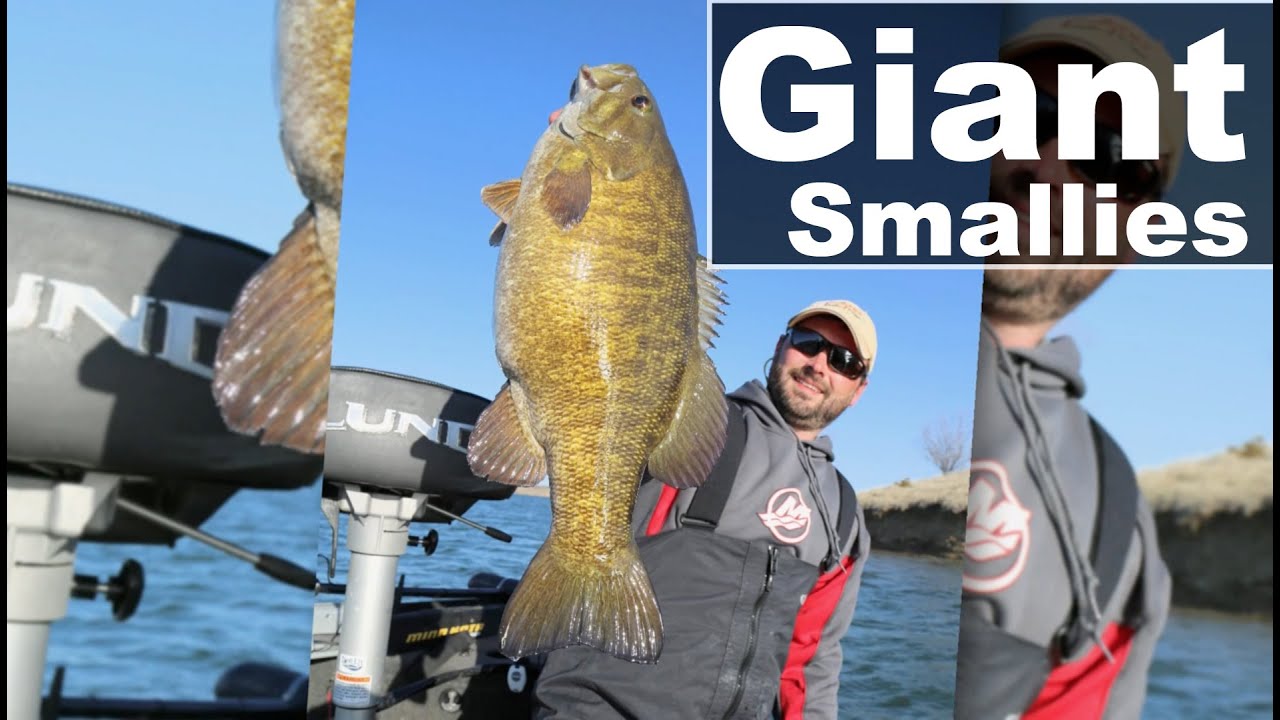 Pro Tips That Land Monster Smallmouth Bass
