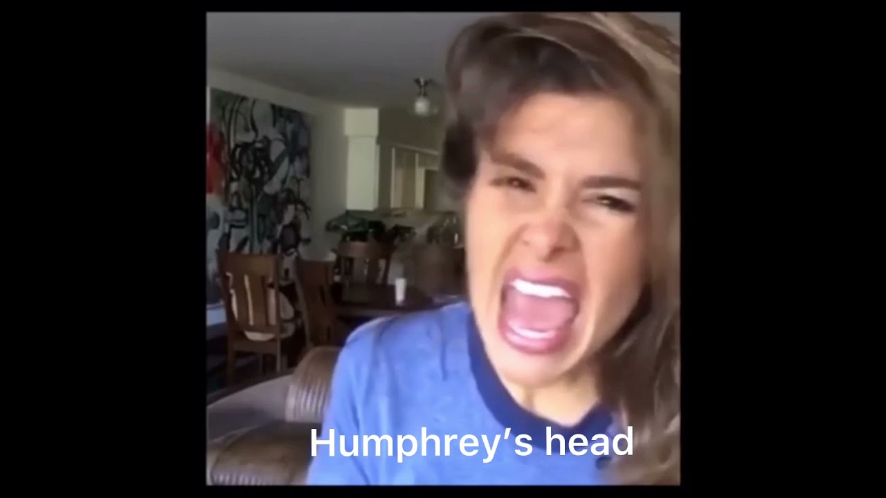 BBC Ghosts as Vines