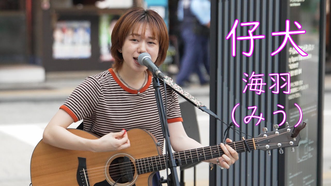 海羽（みう）【仔犬（オリジナル）】 路上ライブ もっちゃん。すとりーと