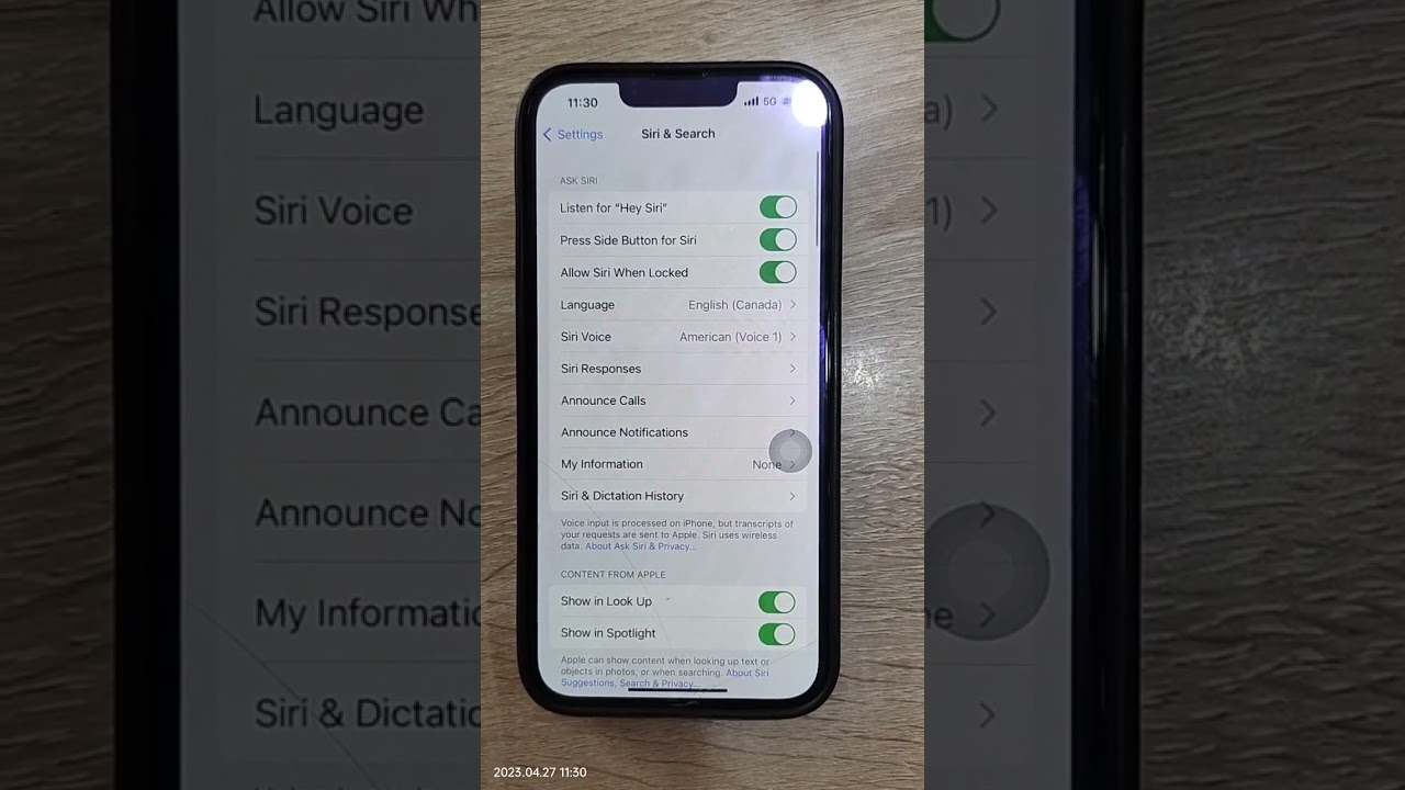 carplay voice control phone setting