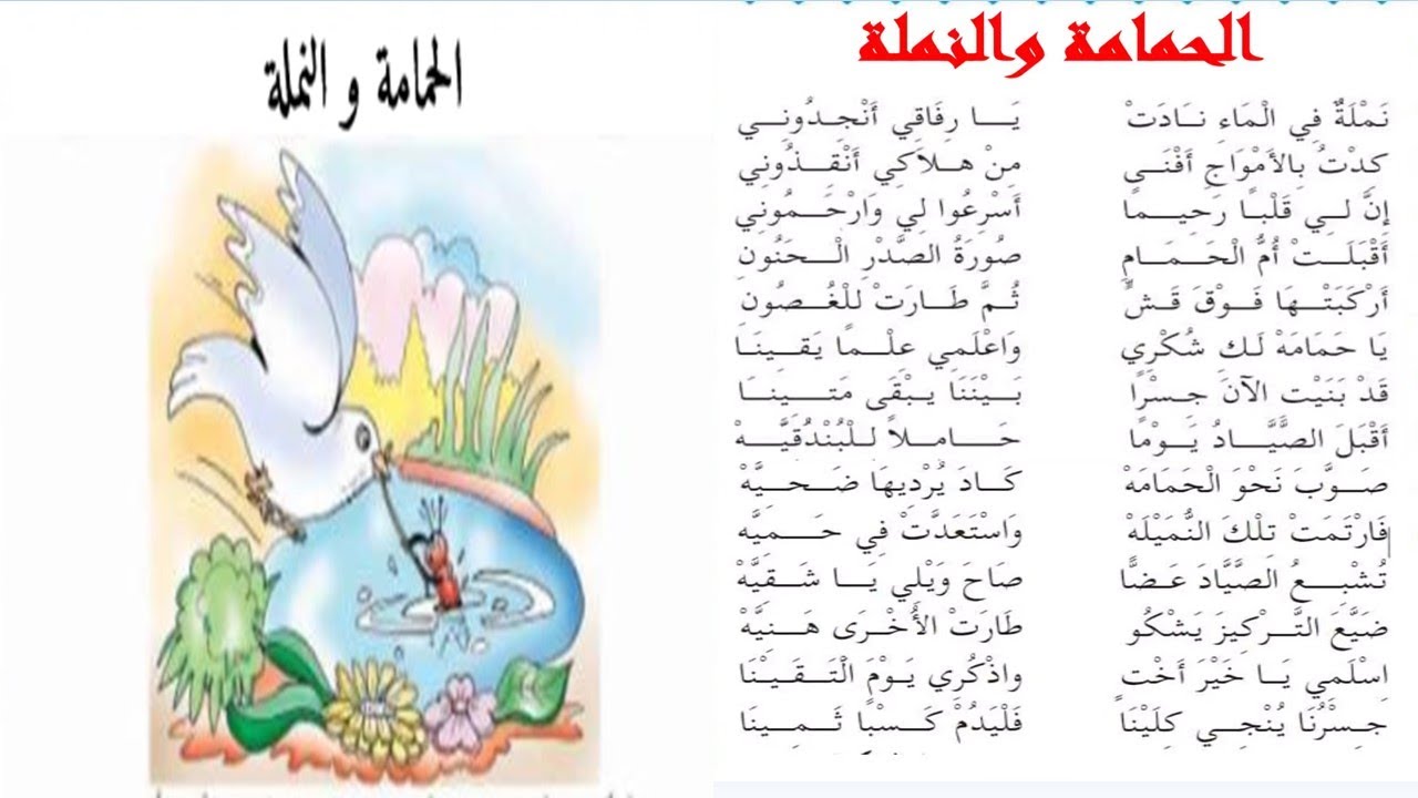 محفوظات الحمامة والنملة سنة ثالثة /super saghroun/  الحمامة والنملة سنة ثالثة