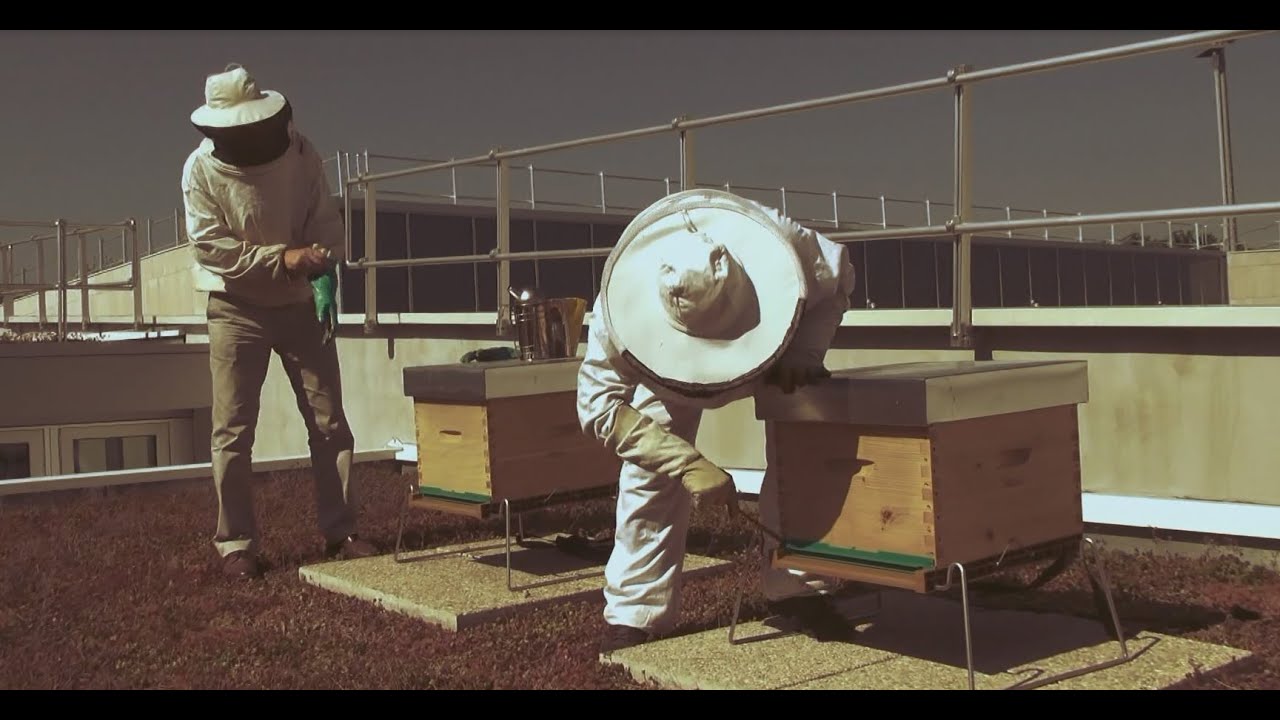 Ep#2 : l'installation de la ruche