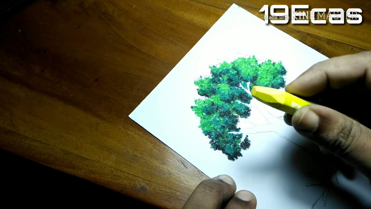 How to draw tree by oil pastels | Tree drawing and Coloring Tutorial | For my students
