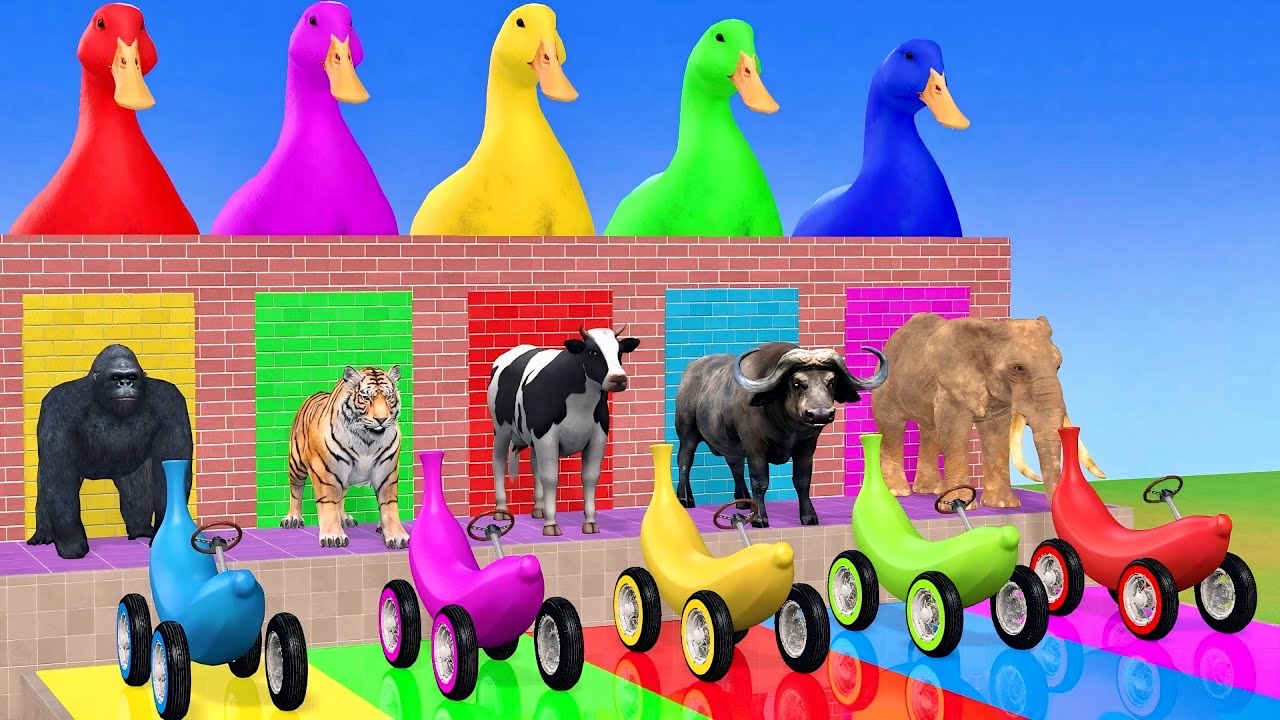 Long Slide Game With Cow Elephant Gorilla Hippopotamus Tiger - 3d Animal Game - Funny 3d Animals