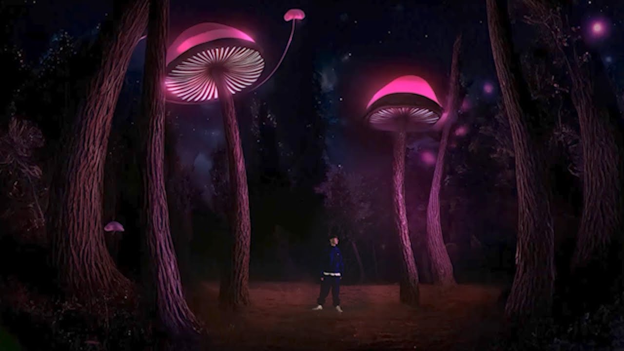 Zakyo - haribo (Video Oficial) | Wonderland