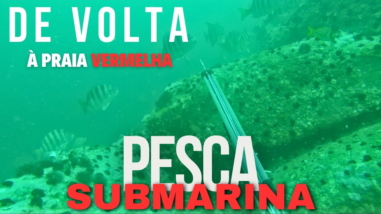 PESCASUB | SPEARFISHING - De Volta à Praia Vermelha