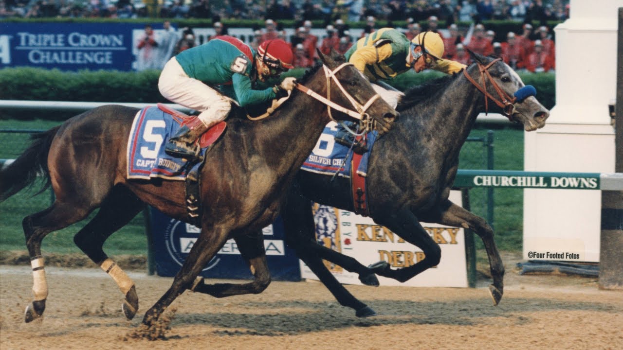 Foal to Finish Line | Retirement Life at Old Friends