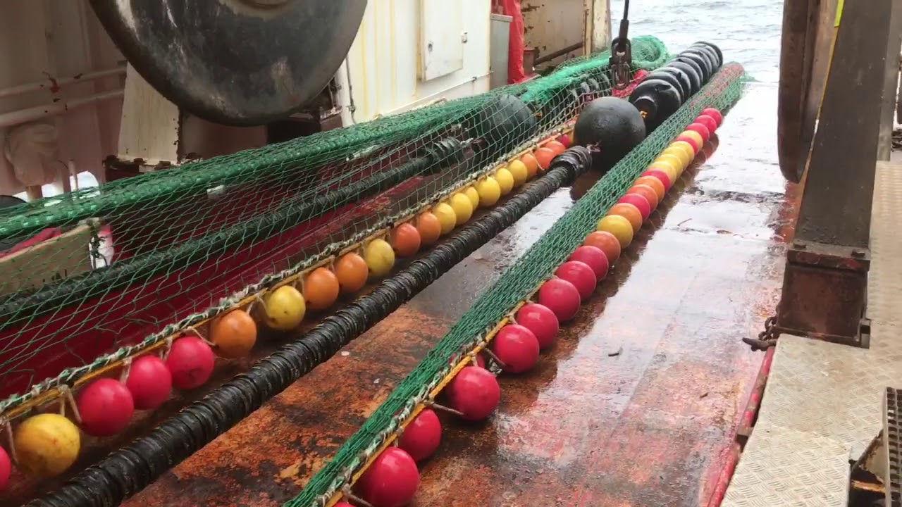 Par trawling. Hiver trawlet ombord. Stort slæb