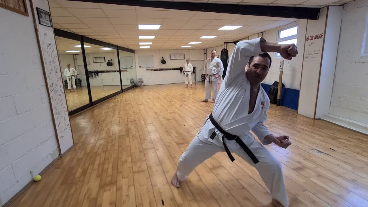 Bassai Dai - Important Teaching Points