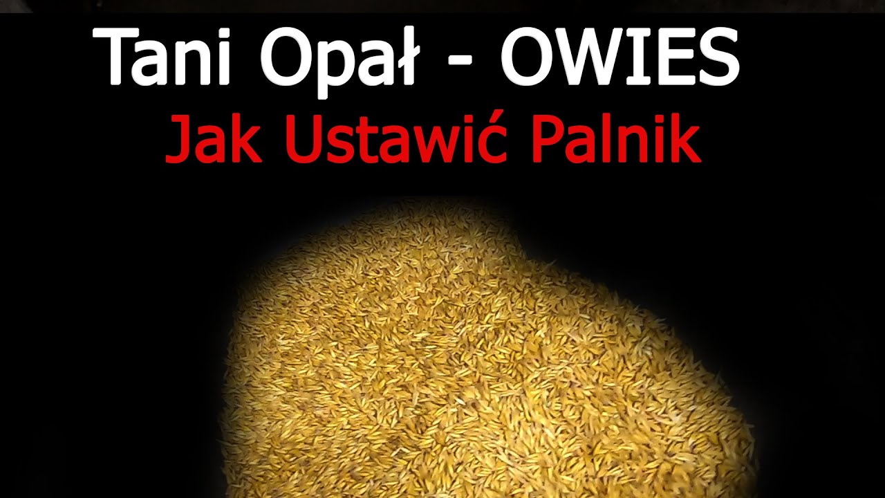 Owies - Tani Opał