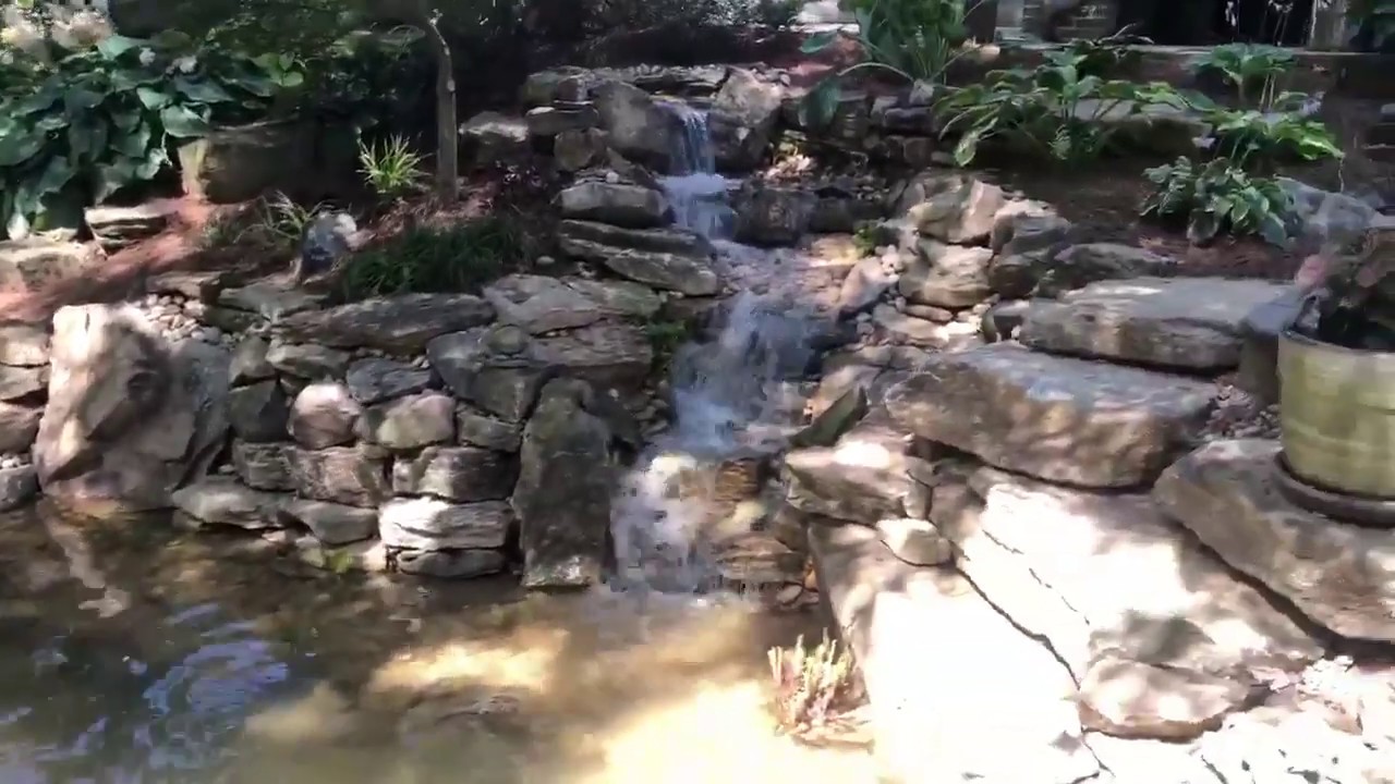 Koi Pond Renovation With a Bridge!