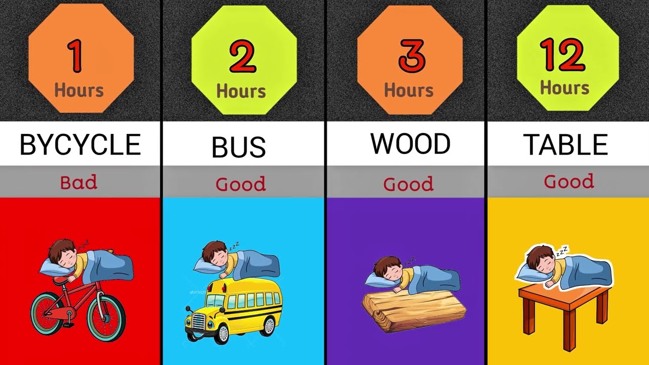 How Long Can You Sleep on Different Things? 😴 | Comparison