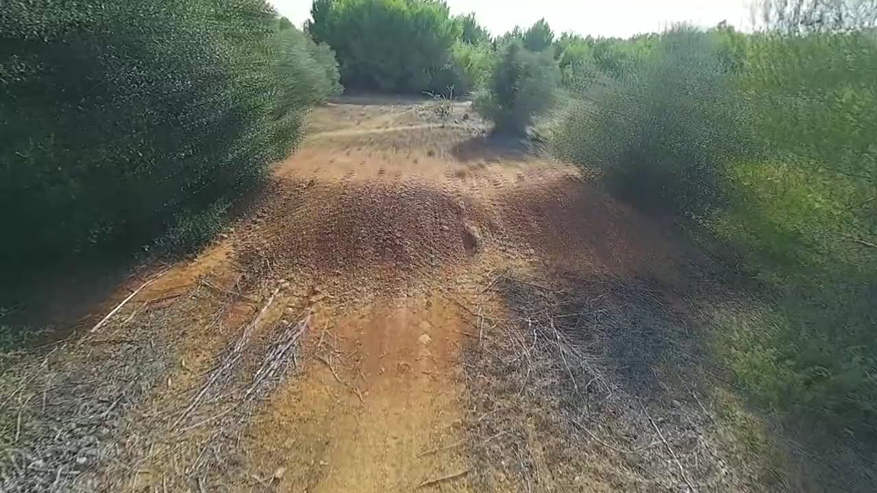 Kopis Walksnail