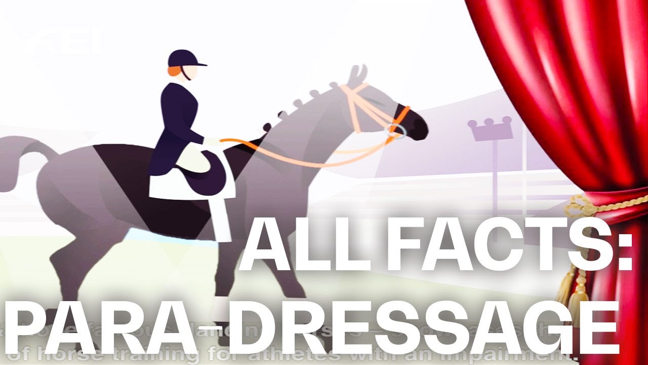 All facts about the Para-Dressage Competitions at #Tokyo2020