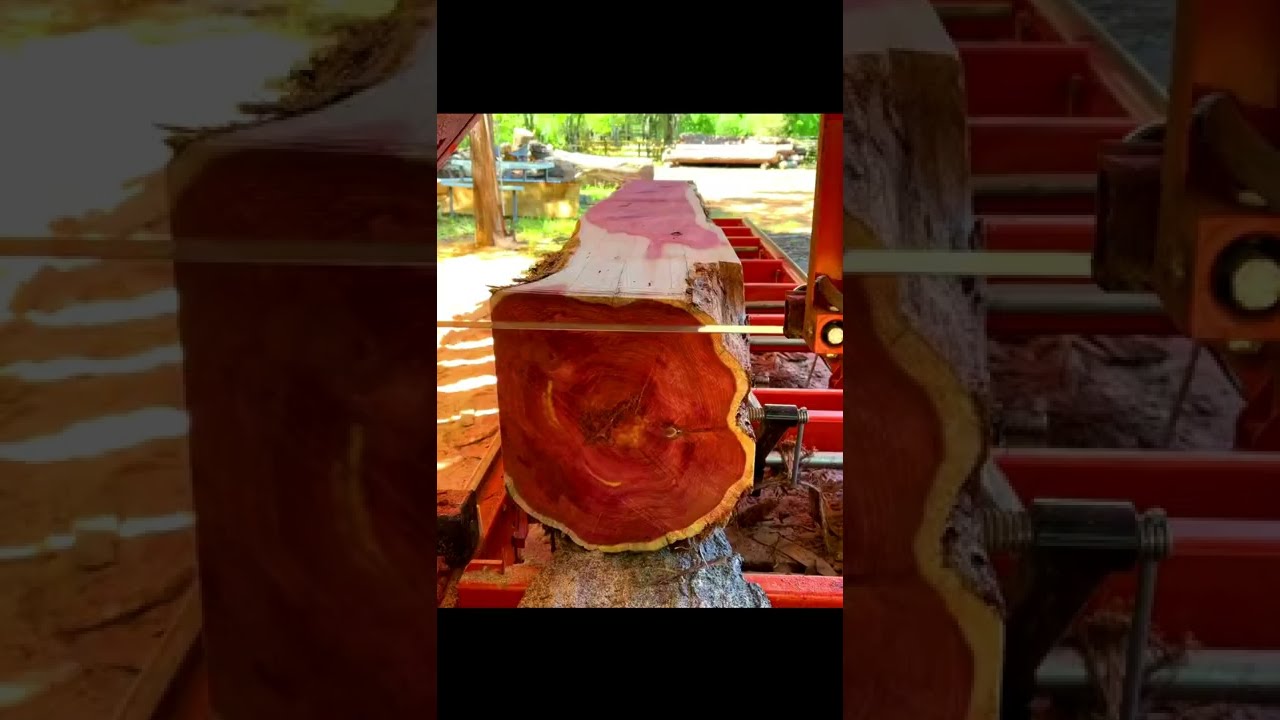Amazing Red Wood Cutting Sawmill - Best #Woodworking #Saw #Mill #Shorts