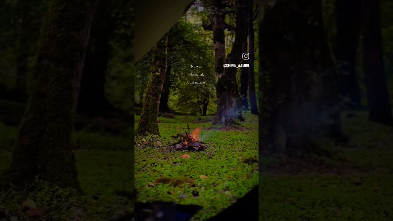 #nature #bonfire #camping #vibe#rain