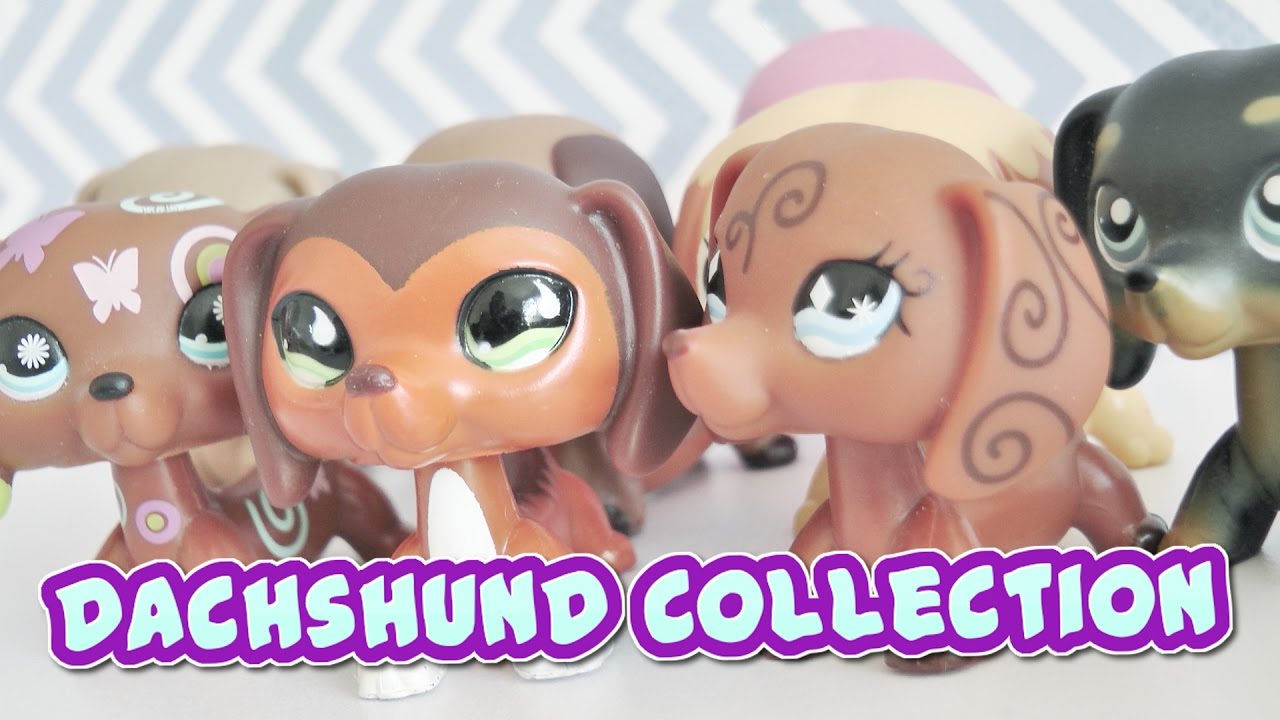 All My Lps Dachshunds || LPS Dachshund Collection