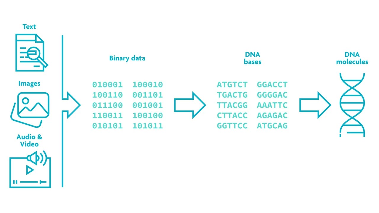 Imec Partners with Atlas to Develop Permanent DNA Based Data Storage Technology