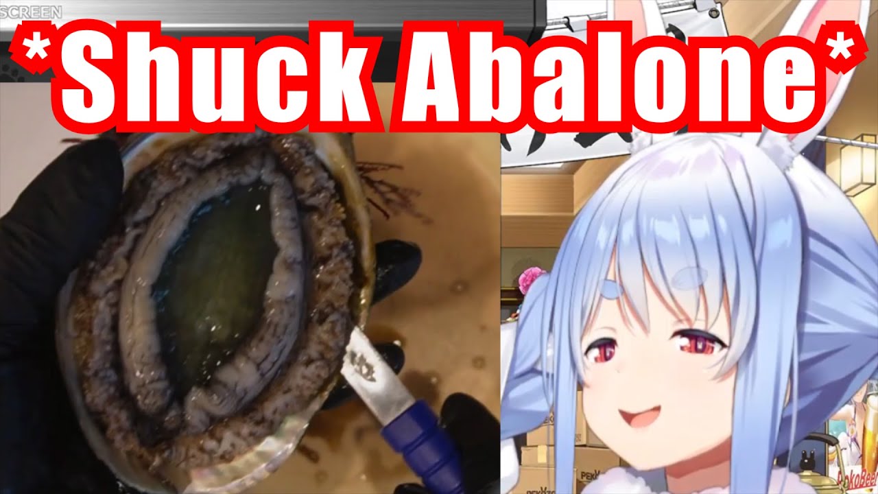 Pekora Shucking Abalone Is Too Dangerous In Many Ways【Hololive/Usada Pekora】