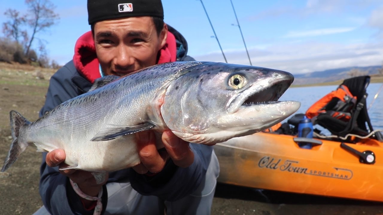 First KING SALMON from a MOTORED KAYAK