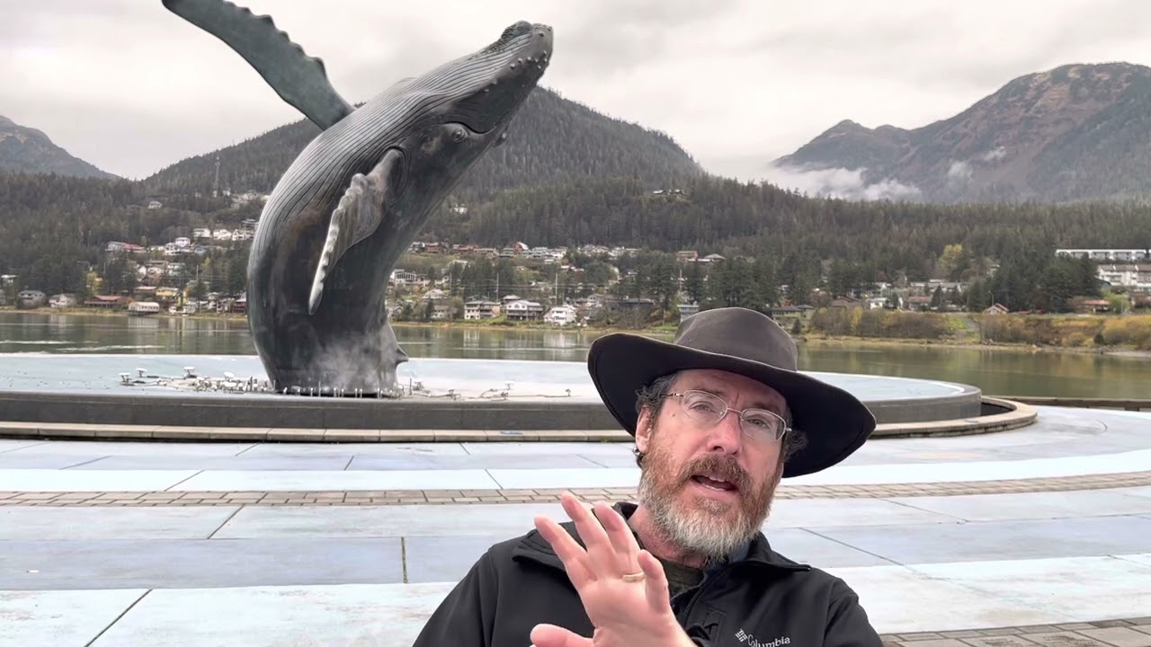 Alaska- When to see whales?