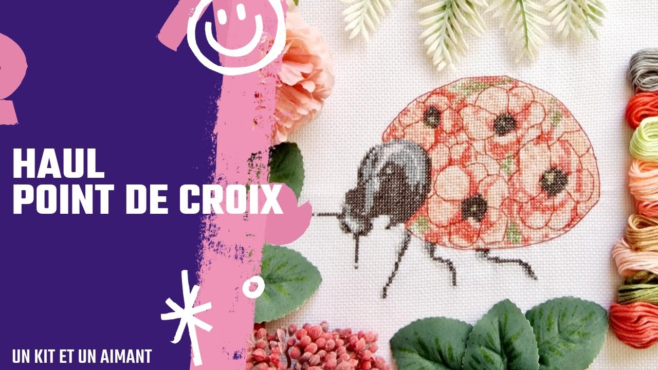 Haul point de croix ~ Mon premier kit de chez poussière des toiles ❤