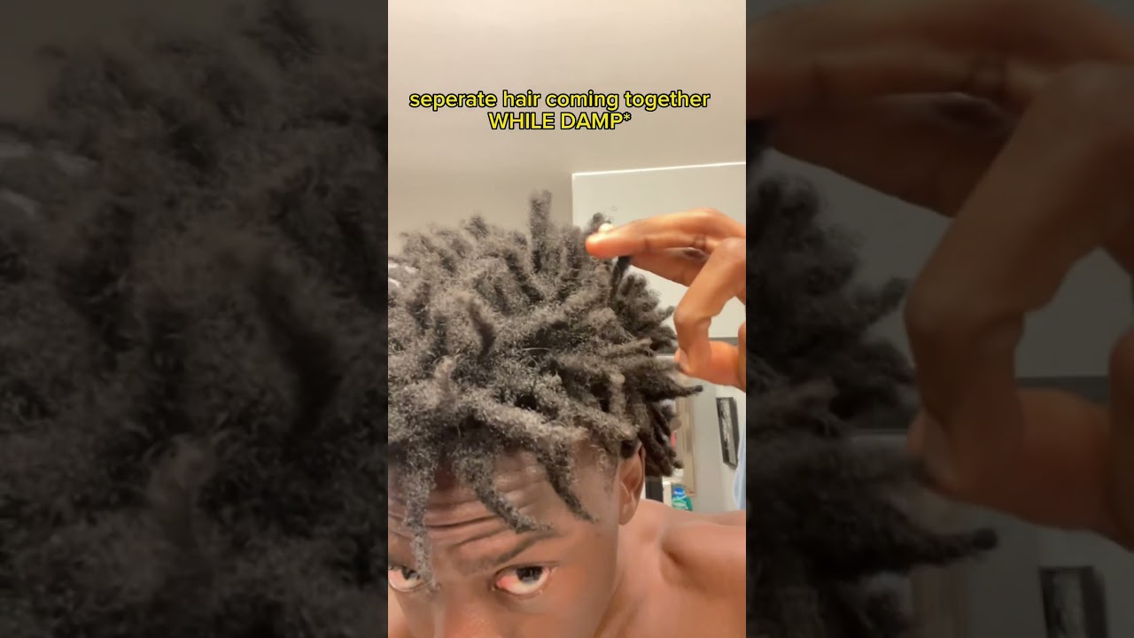 Freeform dreads tips (start & maintain) #shorts #freeformlocs #dreadlocks
