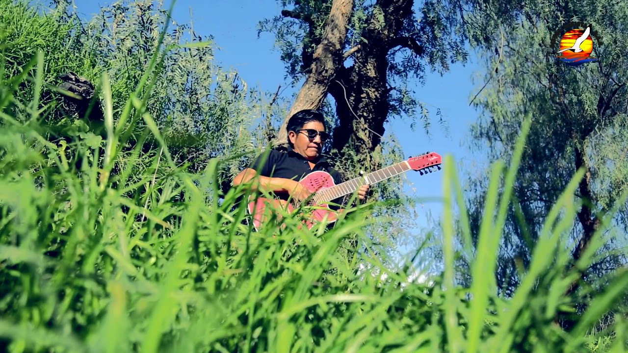 ALFREDITO  PAUCCARA  CRUZ  2020 -  Triste  es la Vida