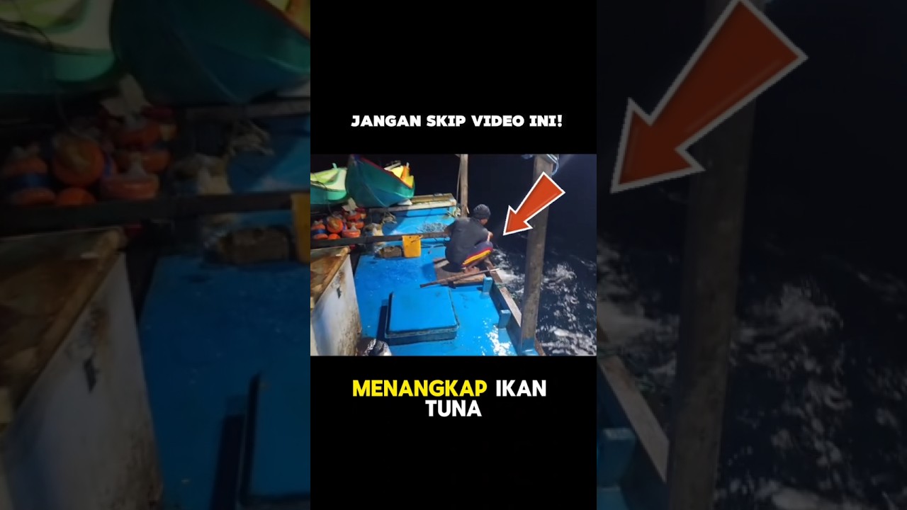 Ikan tuna sirip kuning di tengah laut yang mengerikan! #fishingtuna