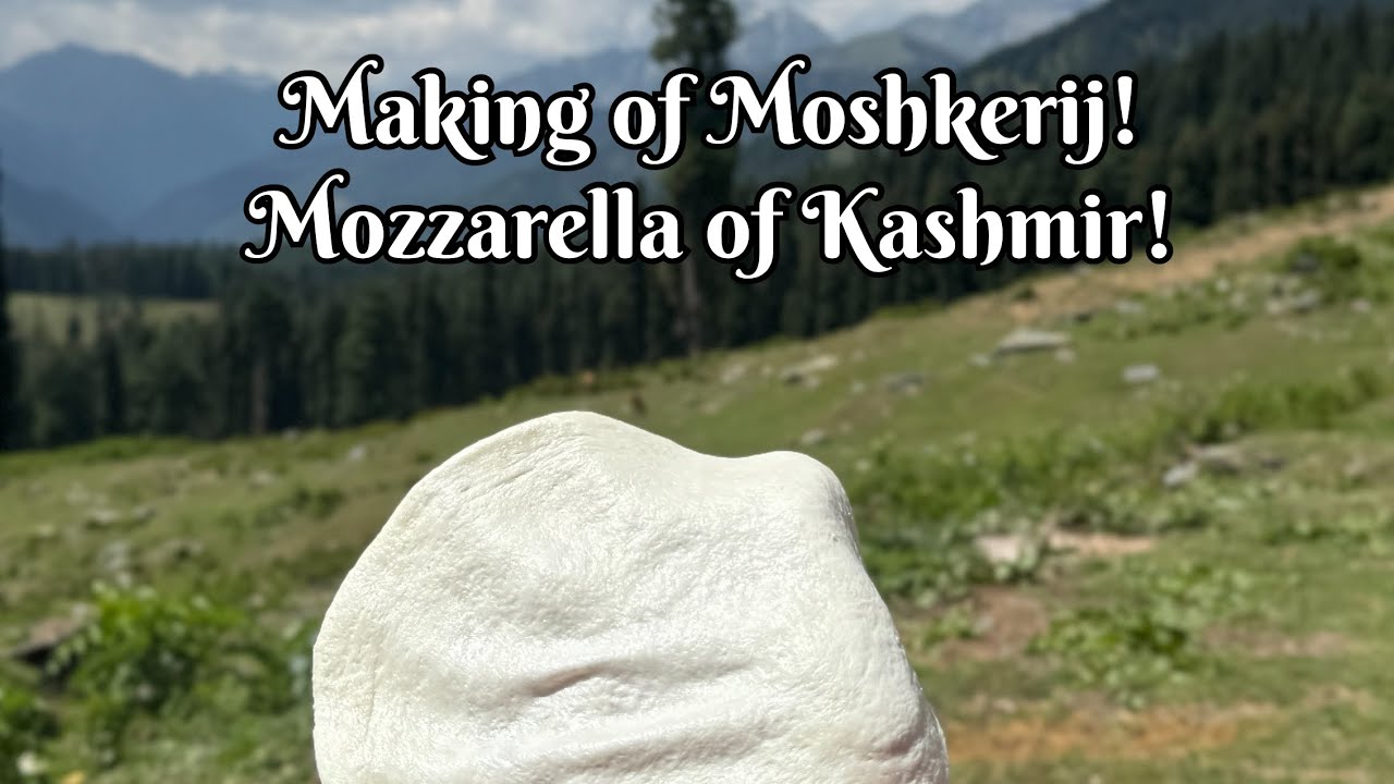 Explore the Making of Moshkreij/ Kalari cheese in Mountains of Kashmir!