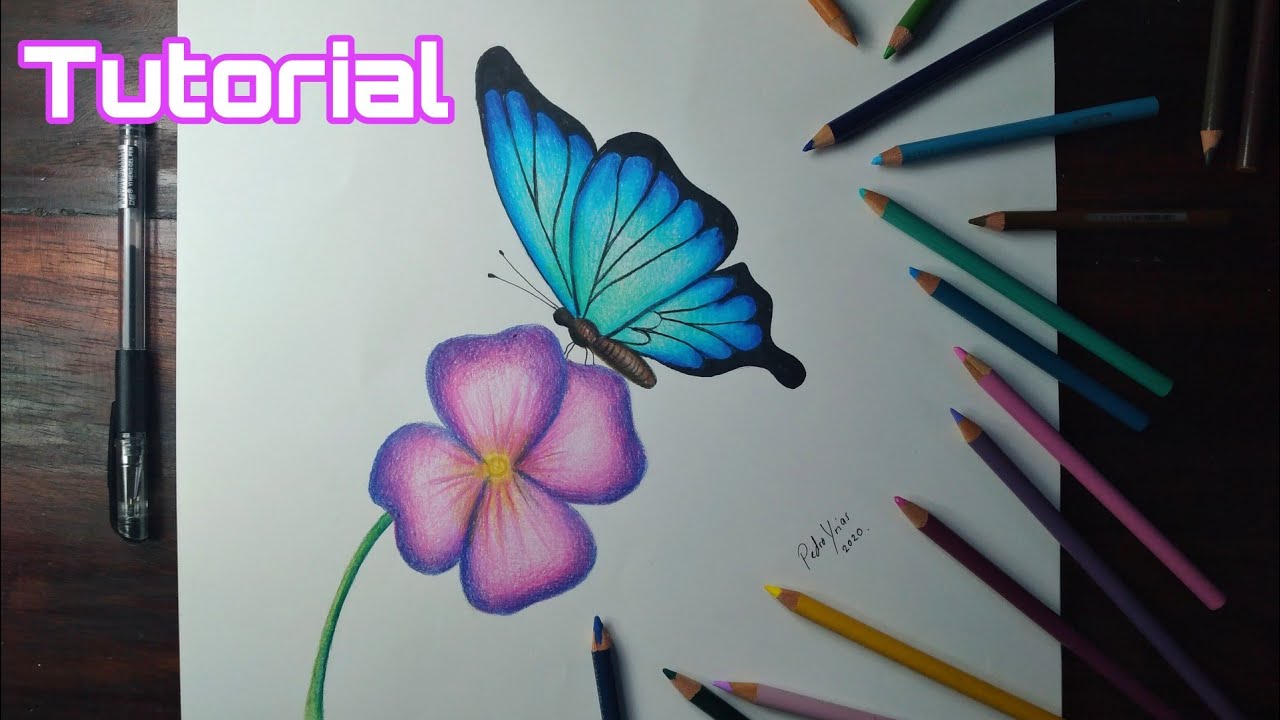 Cómo Dibujar Una Mariposa y una Flor con lápices de color