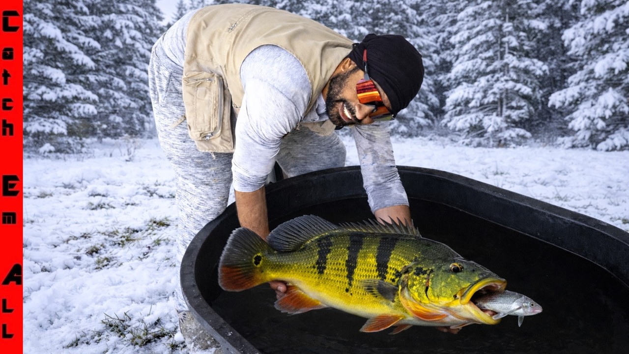 We Found a GIANT STATE RECORD SIZED DEAD FISH and BROUGHT it BACK to LIFE in FREEZING COLD WATER!