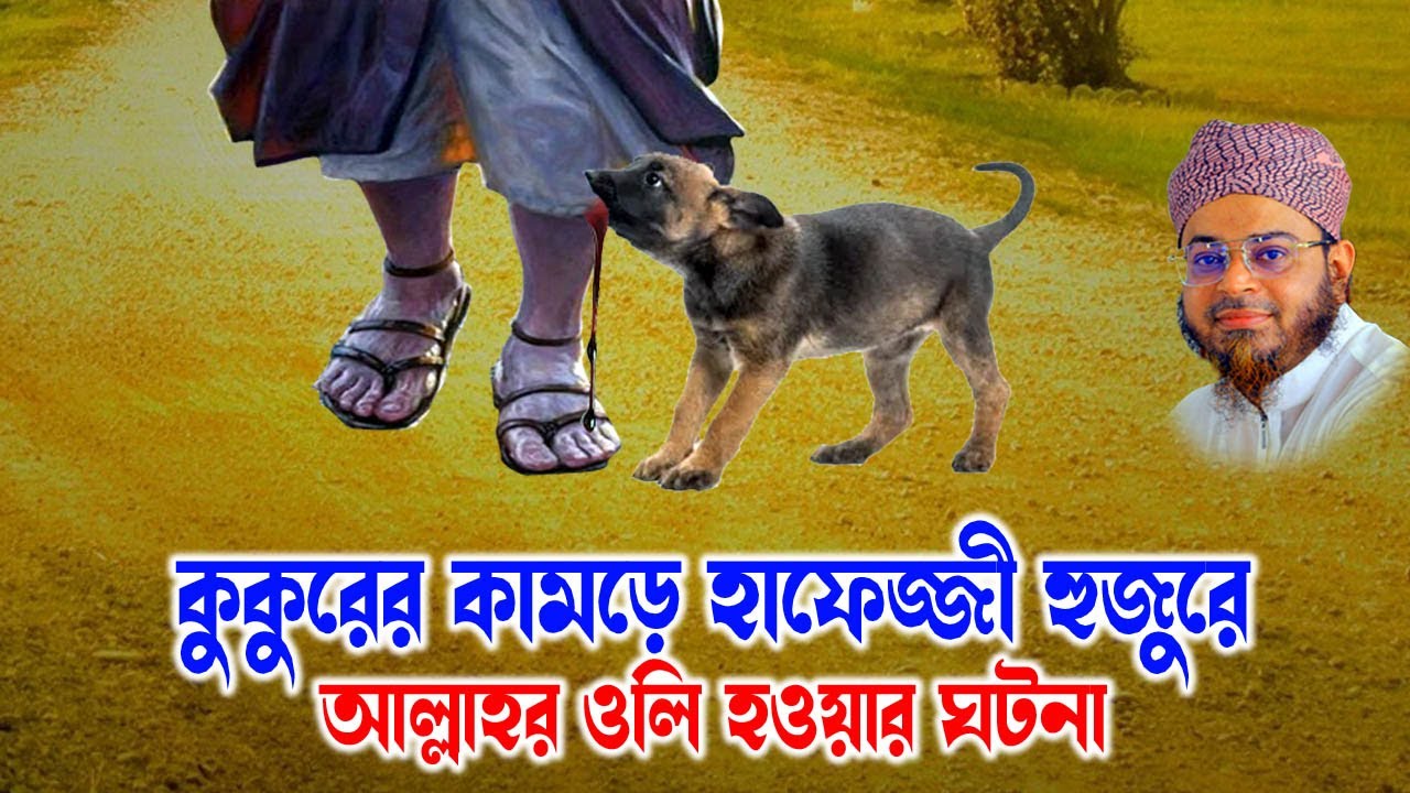 Nasir Uddin Ansari । মুফতি নাসির উদ্দিন আনসারী । হাফেজ্জী হুজুরের ঘটনা - নাসির উদ্দিন আনসারী