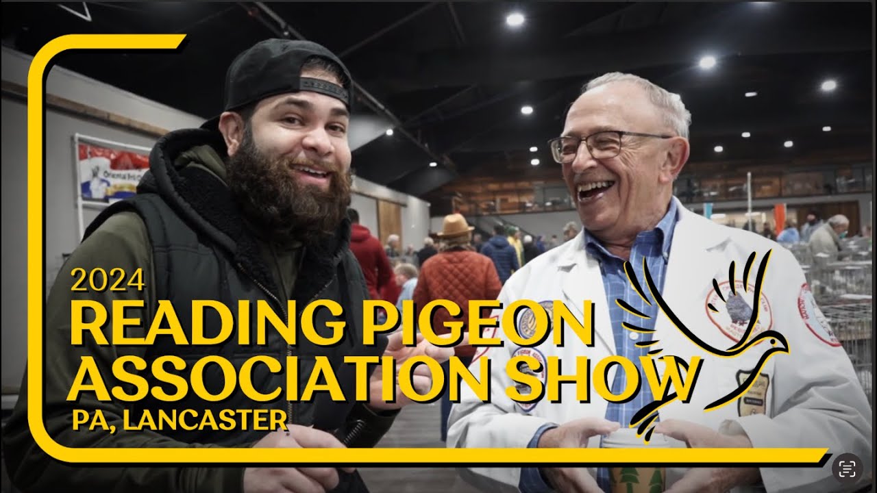 Largest Pigeon show in Pennsylvania ! Amazing  breeds of  birds  and judges to interview.