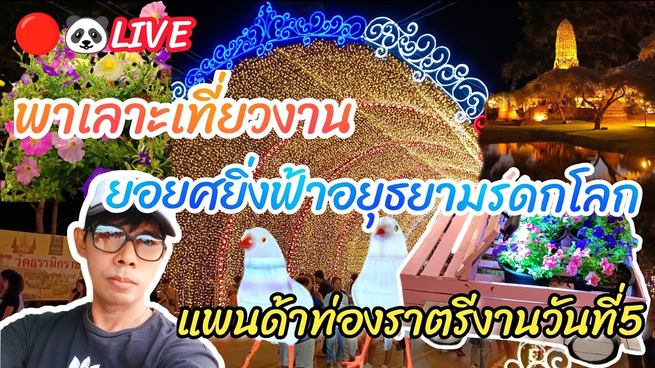 🔴🐼LIVE พาเลาะเที่ยวงานยอยศยิ่งฟ้าอยุธยามรดกโลก แพนด้าท่องราตรีงานวันที่5 #อยุธยา #Nopนพพลสตอรี่