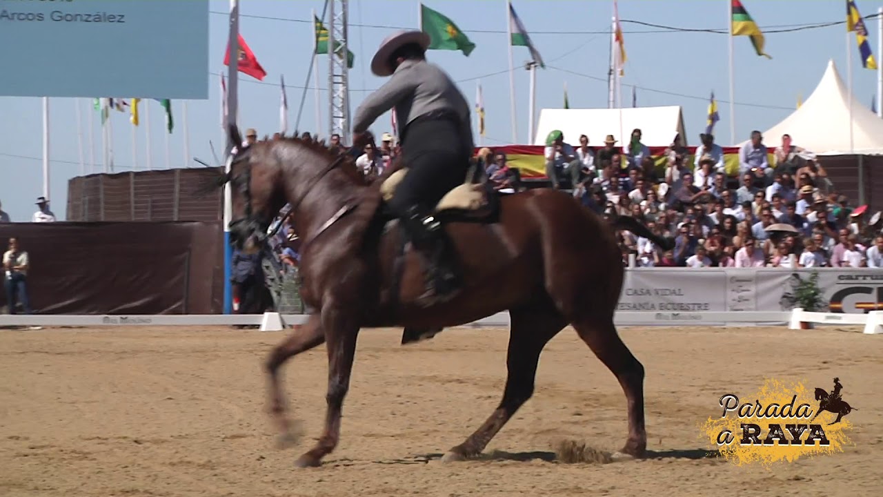 Rafael Arcos González con Alameda en la Final de Campeonato de España de Doma Vaquera 2019.