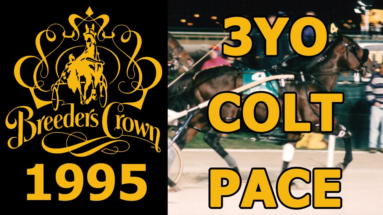 1995 Breeders Crown - Jenna's Beach Boy - 3YO Colt Pace