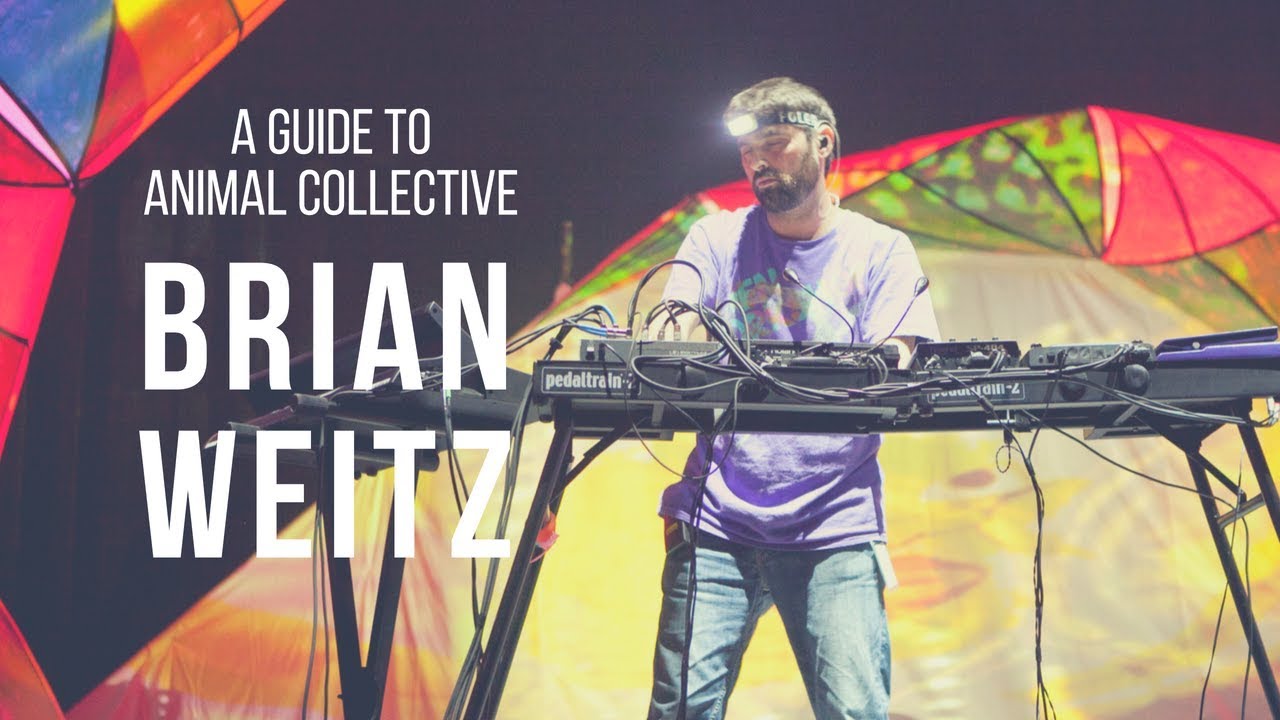 A GUIDE TO ANIMAL COLLECTIVE: Brian Weitz