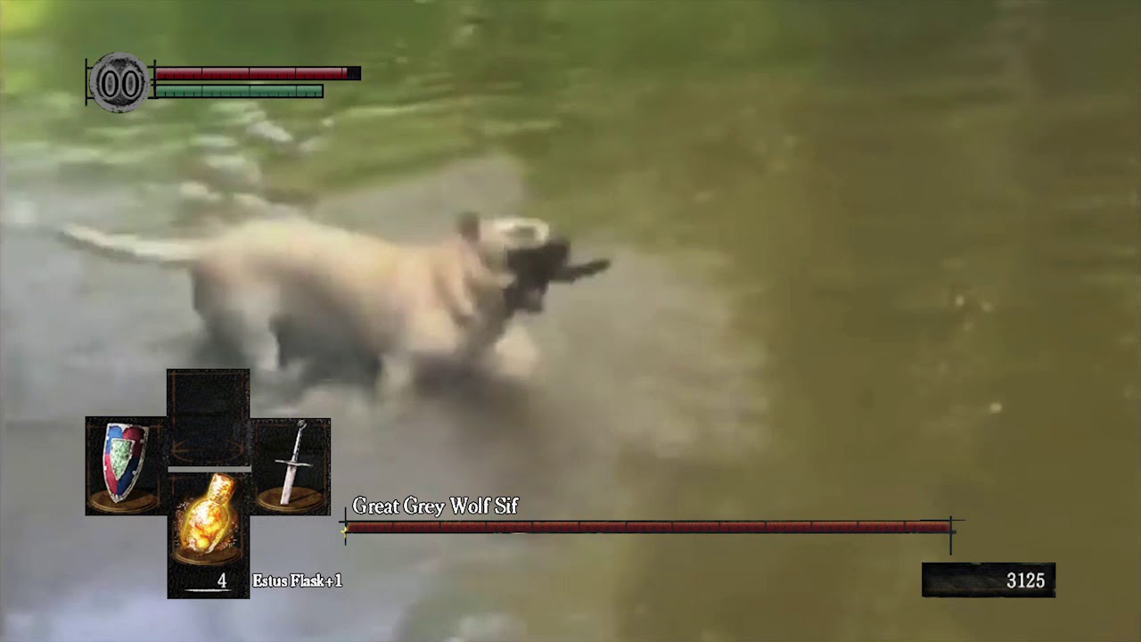 great grey wolf sif.mp4
