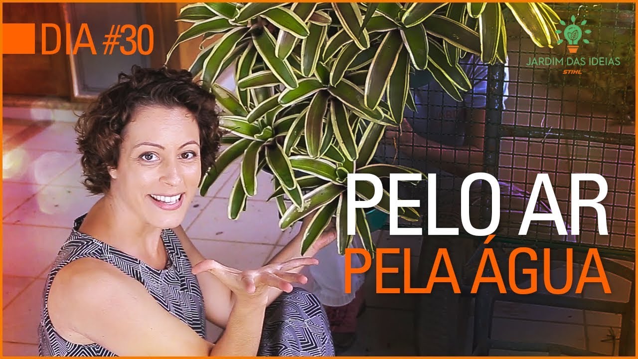 De ARREPIAR: passo a passo do paredão verde com plantas tropicais coloridas