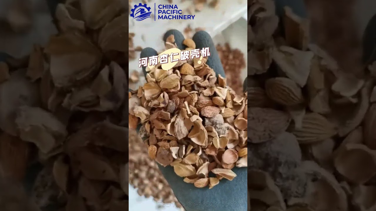 Almond Three-Stage Shelling Machine|Almond Processing Machines| Almond Shell Cracker Machine Video